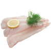 White Fish Fillets